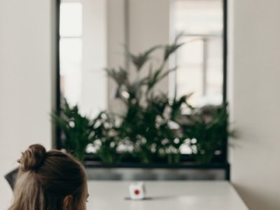 摸索香港自贸港：投资环境优点分析