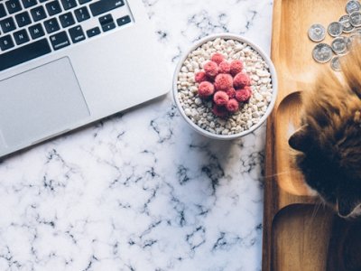 解密香港机构法定代表人身份资历：权责清晰，责任明晰